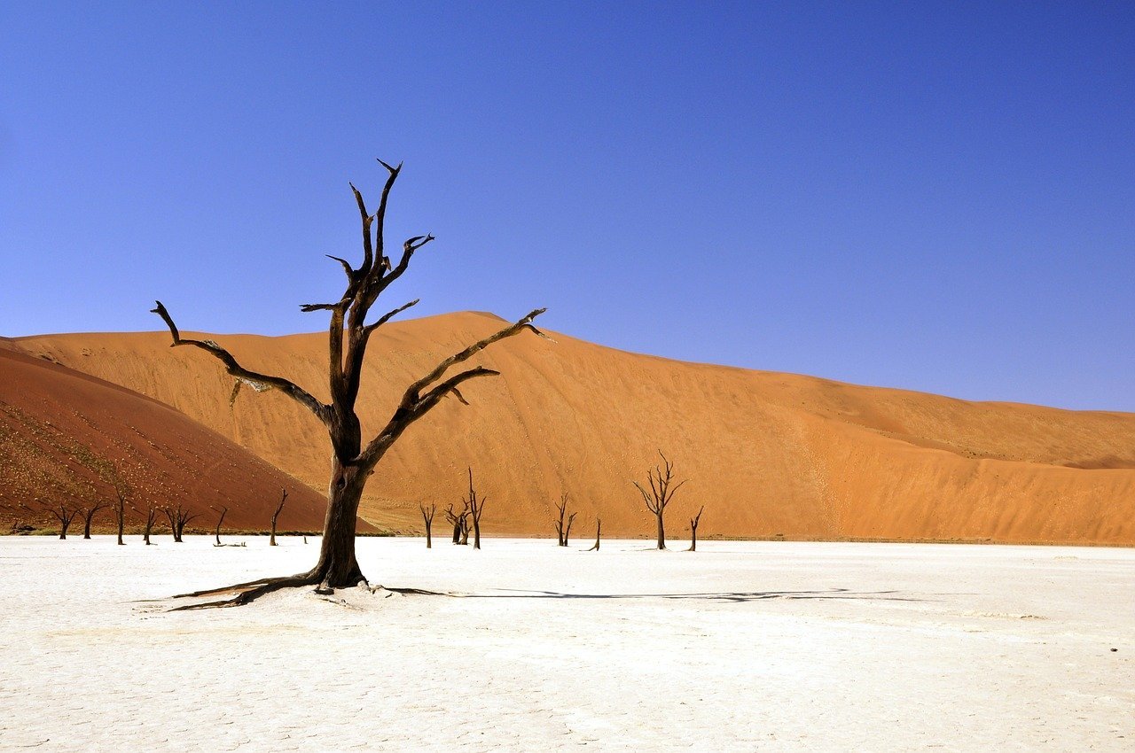 namibia