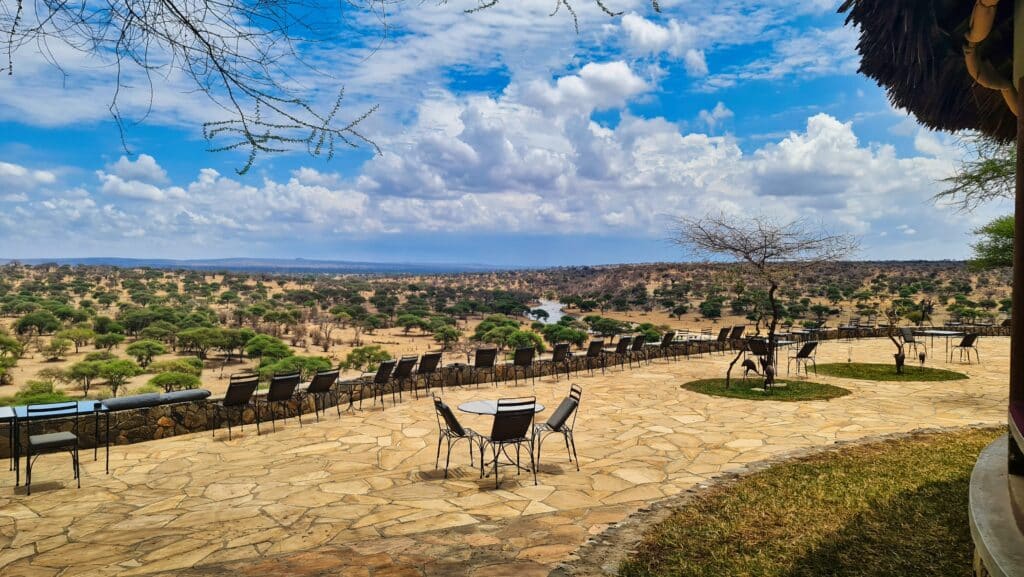 Tour safari in Tanzania: itinerari, costi e come scegliere quello giusto 3 vista fiume tarangire