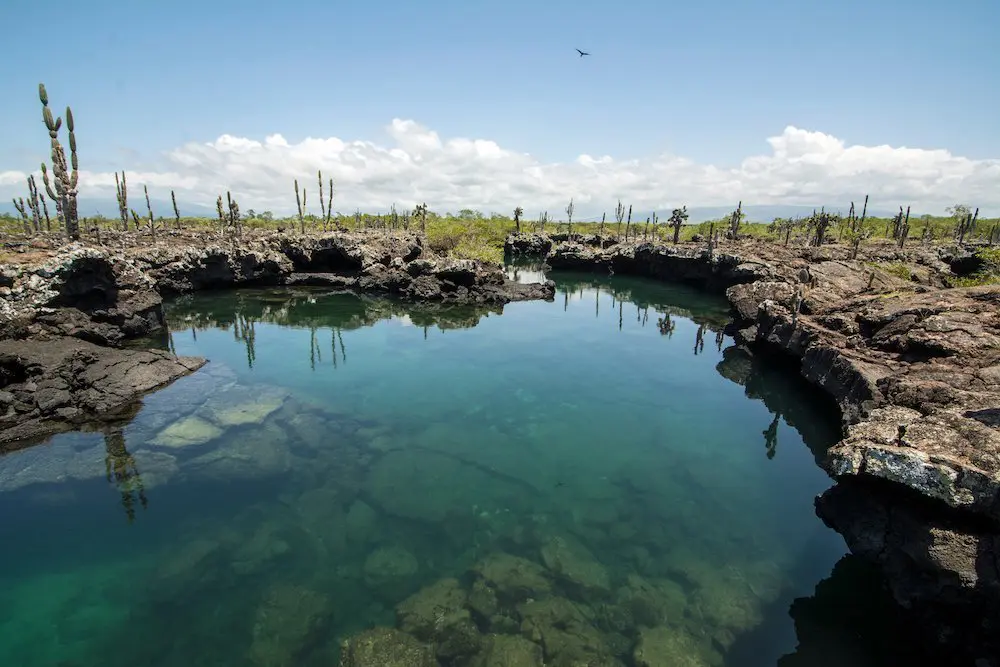 tunnels lava marini