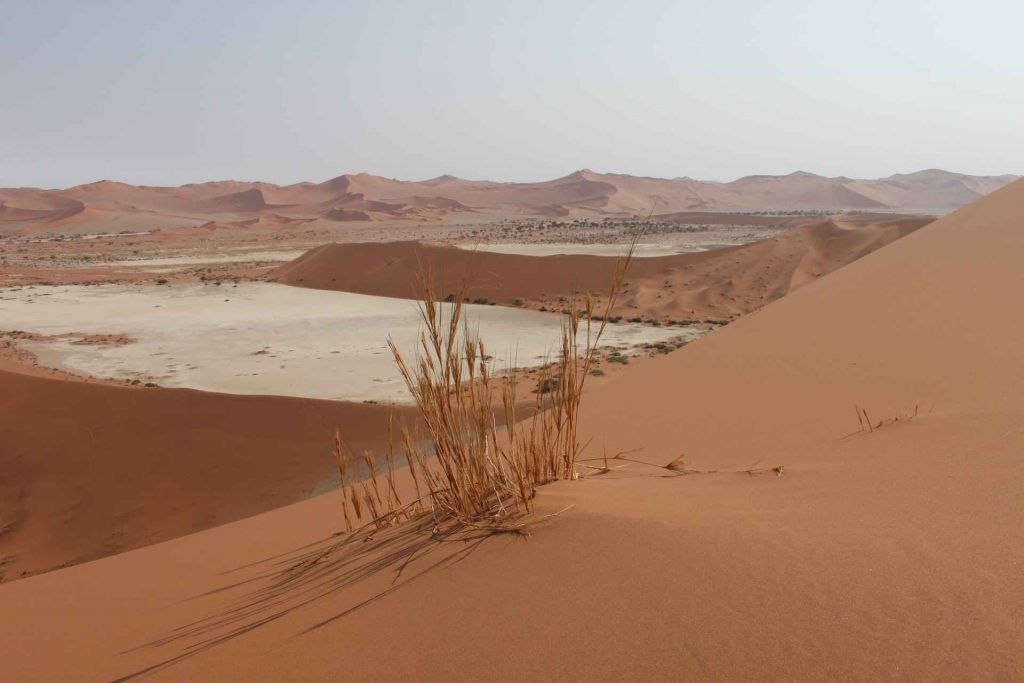 Perché scegliere la Namibia per il tuo viaggio in Africa 1 Namibia deserto