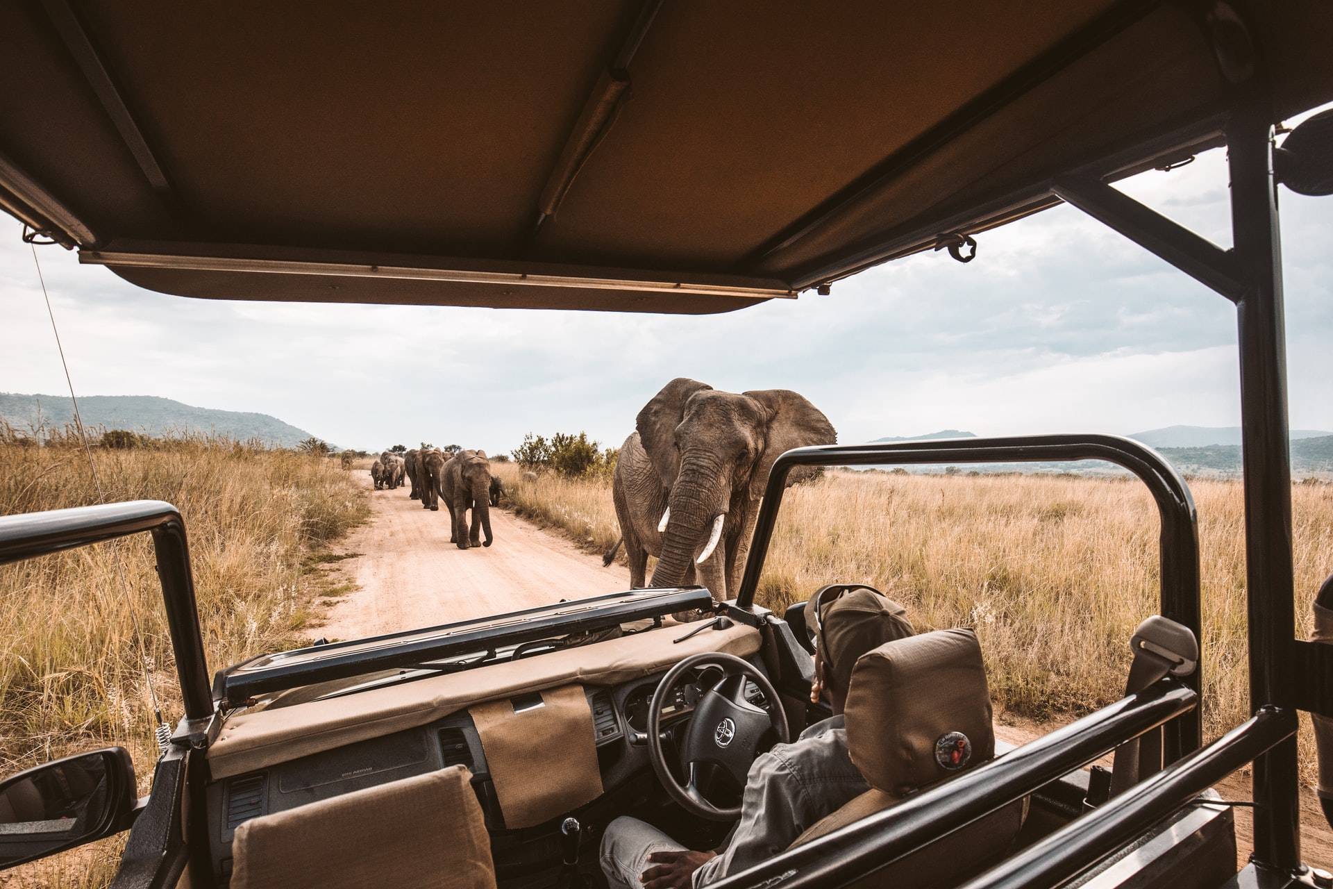 Macchina safari in Africa