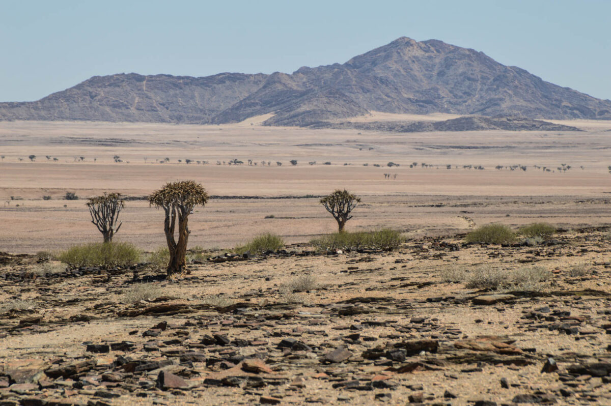 Perché scegliere la Namibia per il tuo viaggio in Africa 2 Natura della Namibia