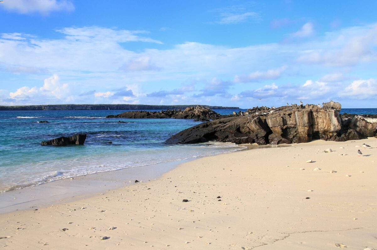 Darwin Bay Galapagos