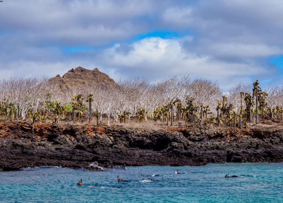 Dragon Hill Galapagos