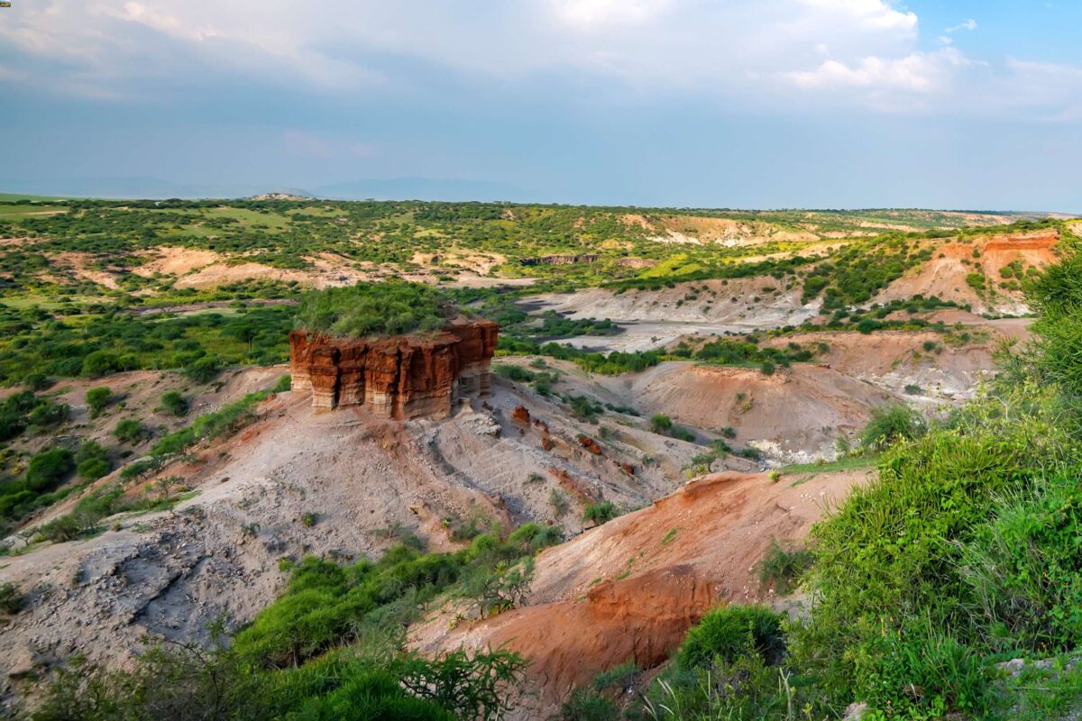 Gole Olduvai Ngorongoro