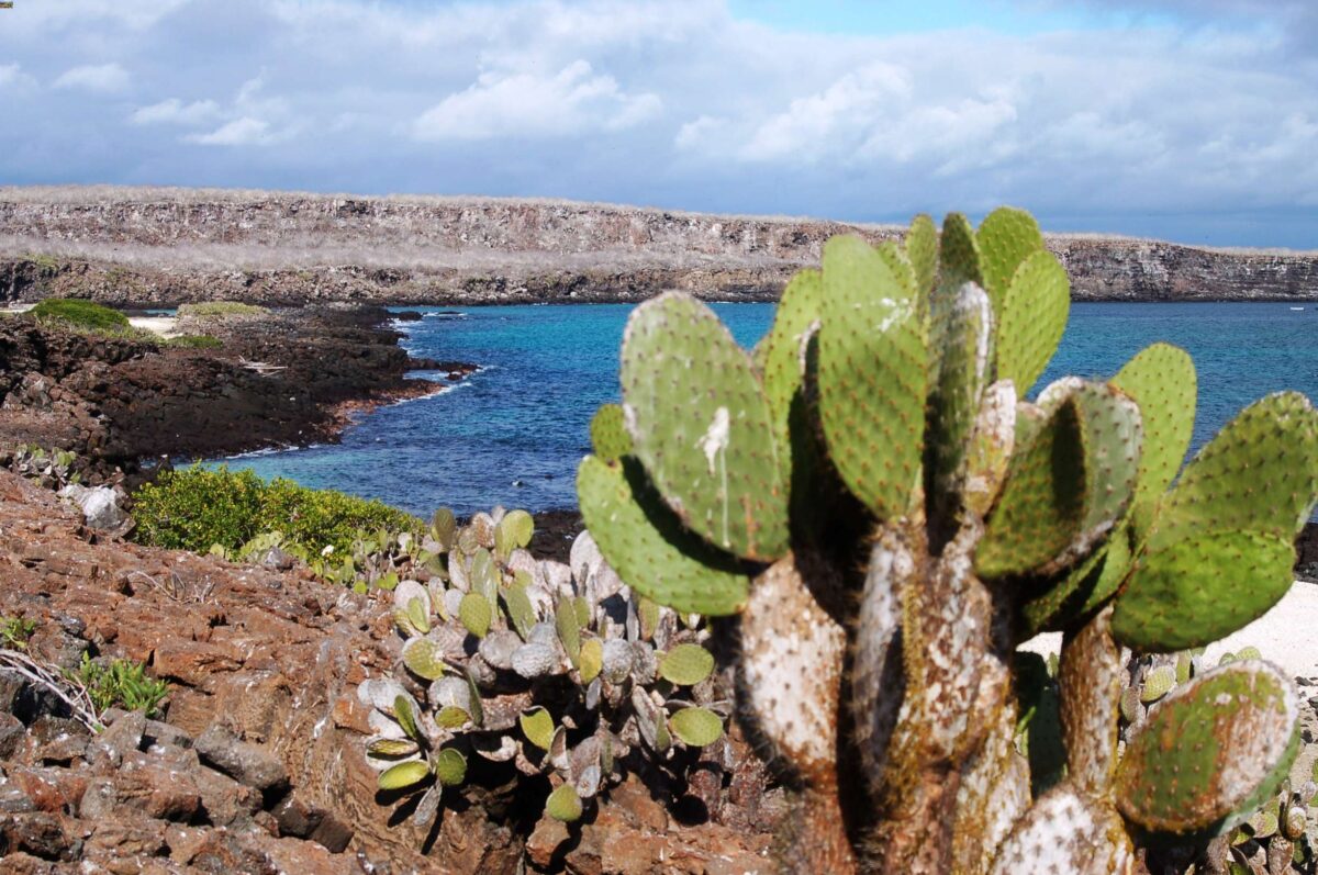 Isola Floreana