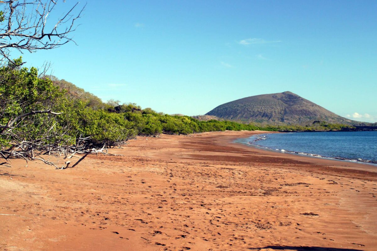Playa espumilla Galapagos