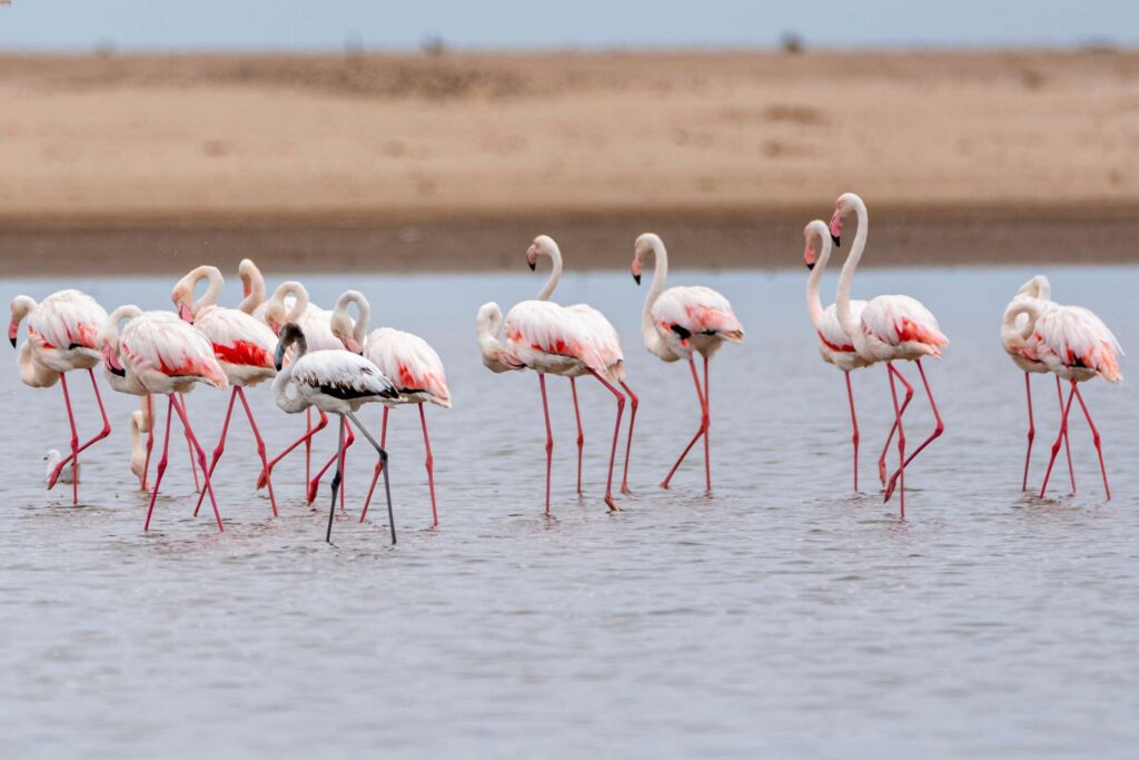 Walvis Bay Namibia