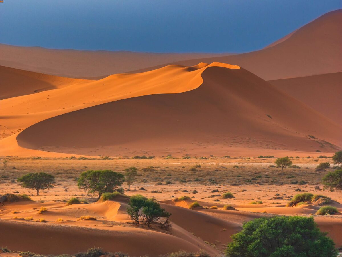 dune deserto namibia