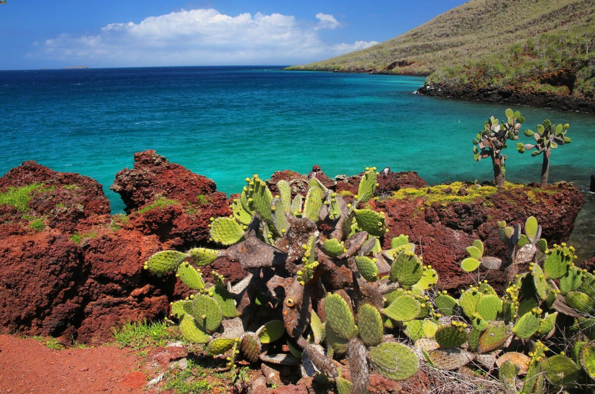 Visa di isola Rabida Galapagos