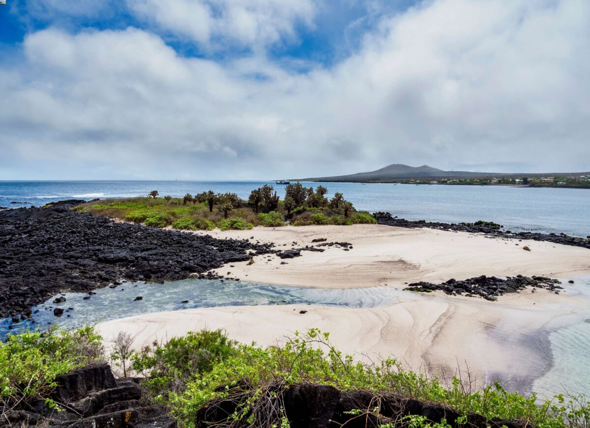 loberia floreana galapagos