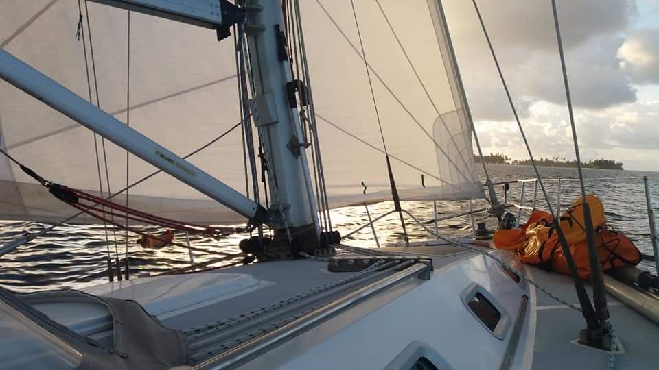 Niskua vela san blas