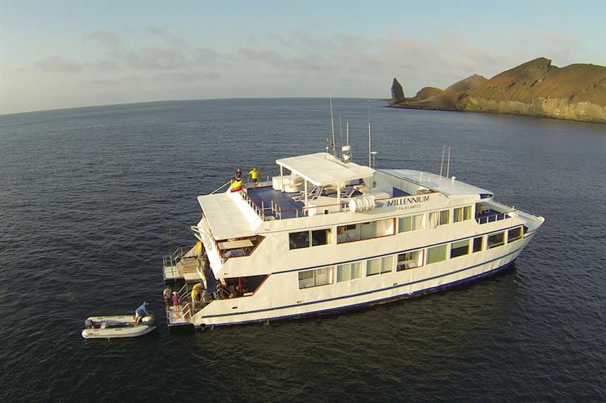 millennium catamarano