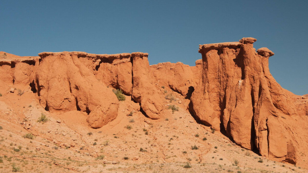 Bayanzag gobi deserto