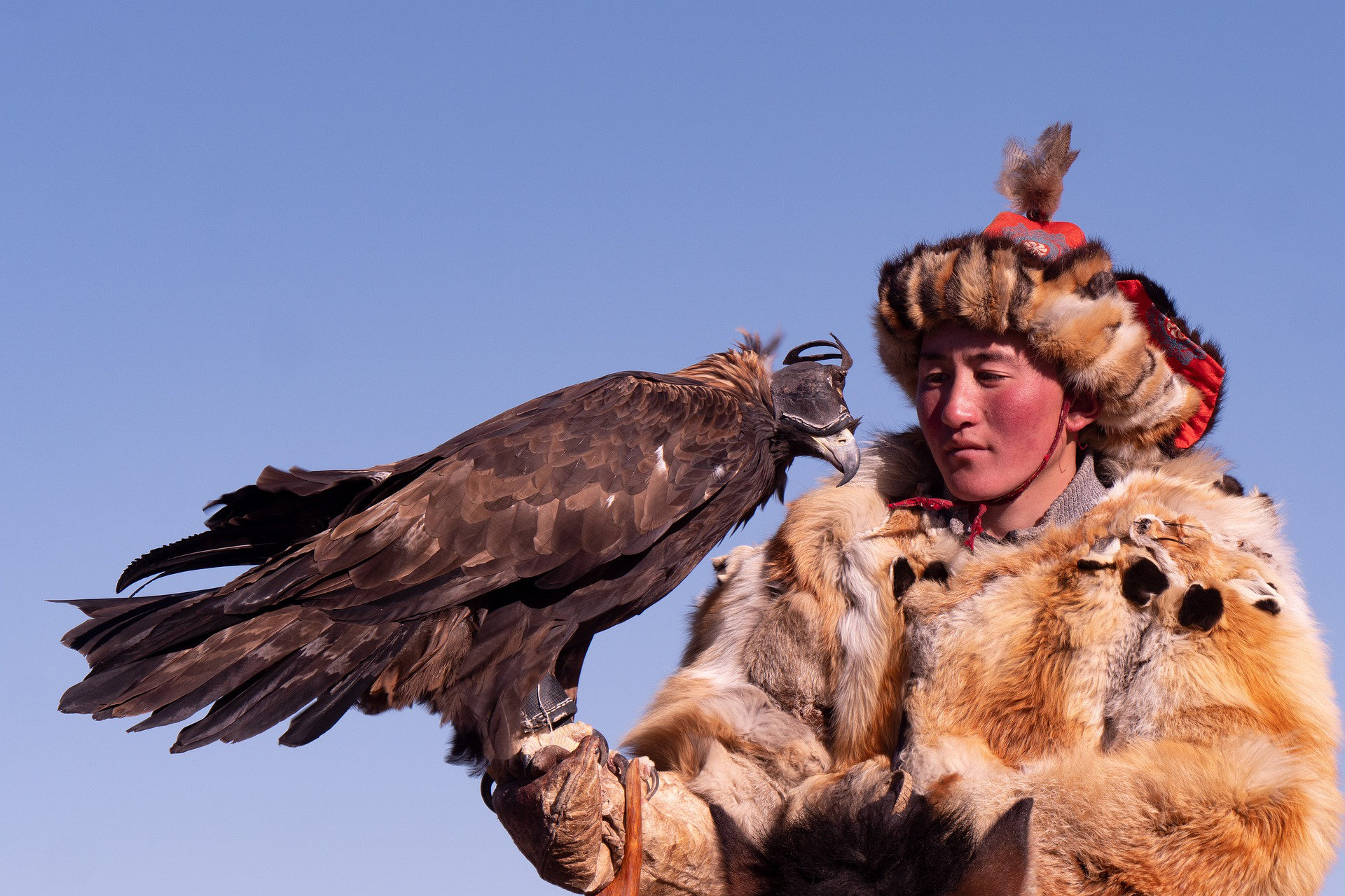 Festival aquile mongolia