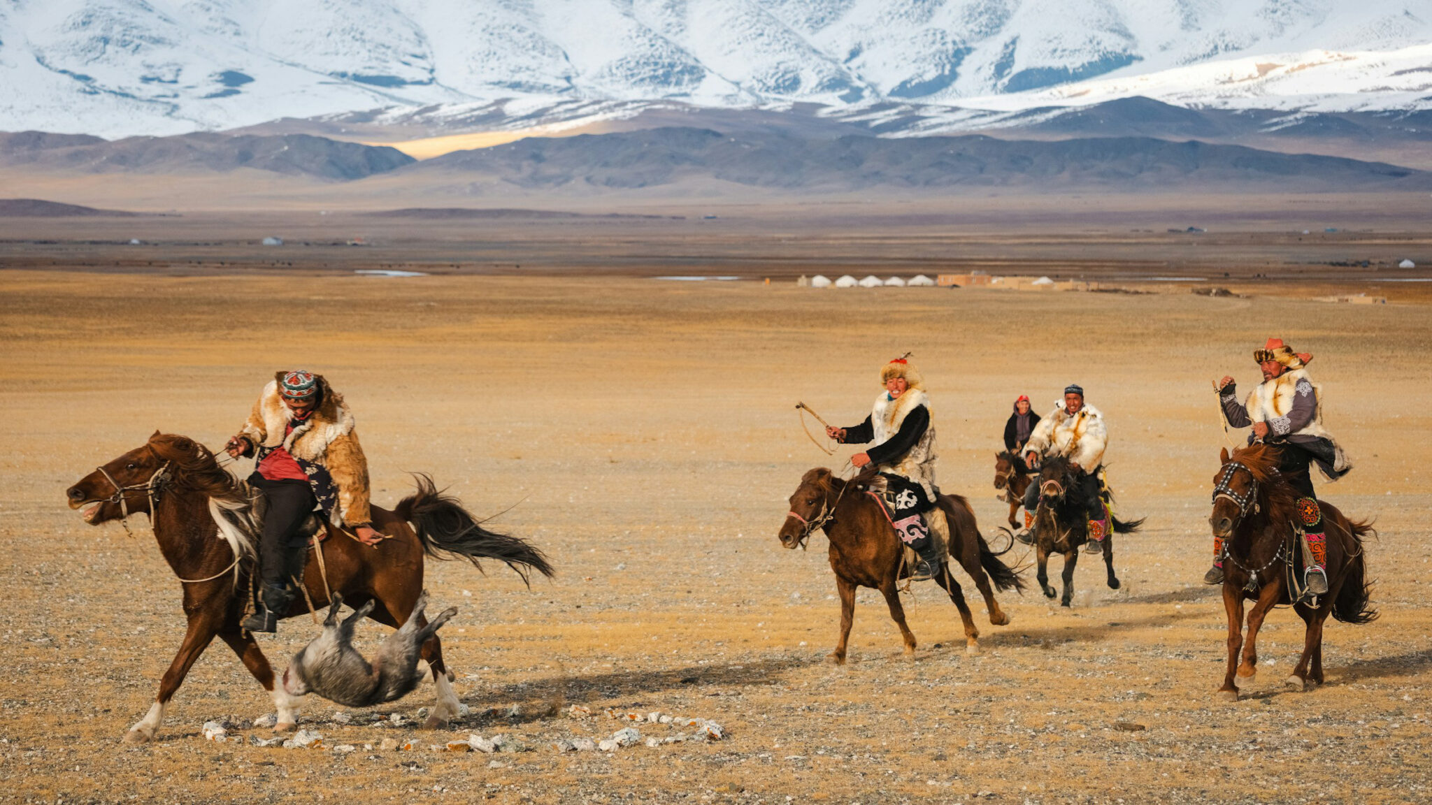 Mongoli