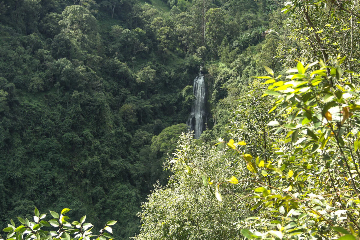 Attività da fare durante un safari in Tanzania: cosa fare oltre il game drive 2 Cascate materuni
