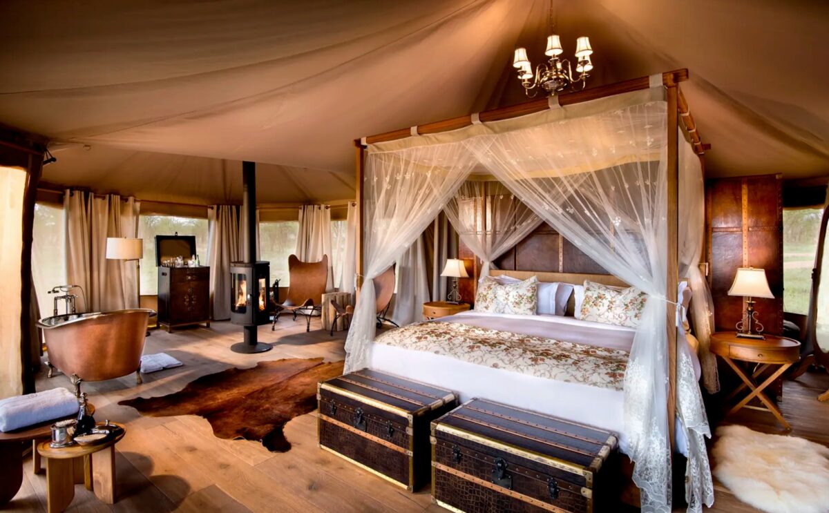 Vale la pena fare un safari di lusso in Tanzania? 1 one nature Serengeti
