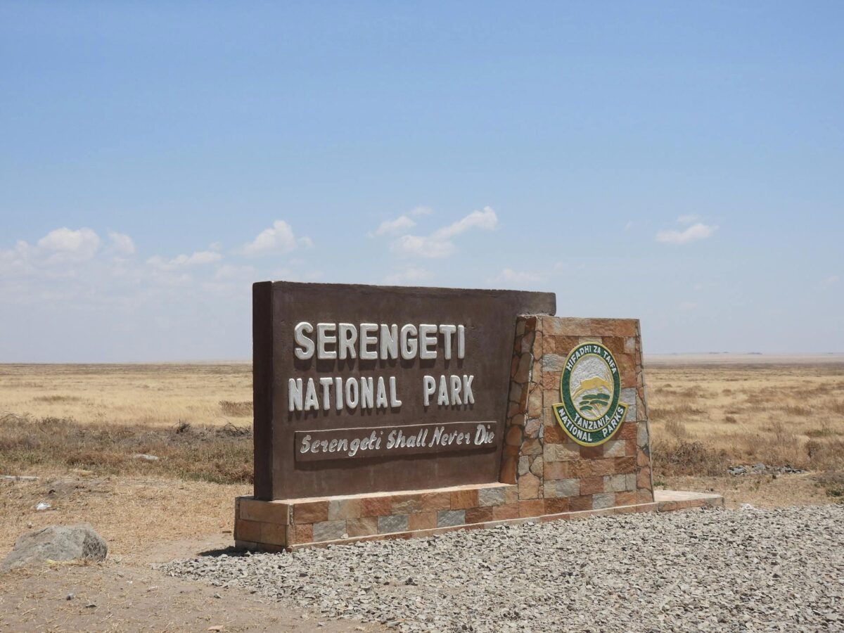 parco nazionale del Serengeti