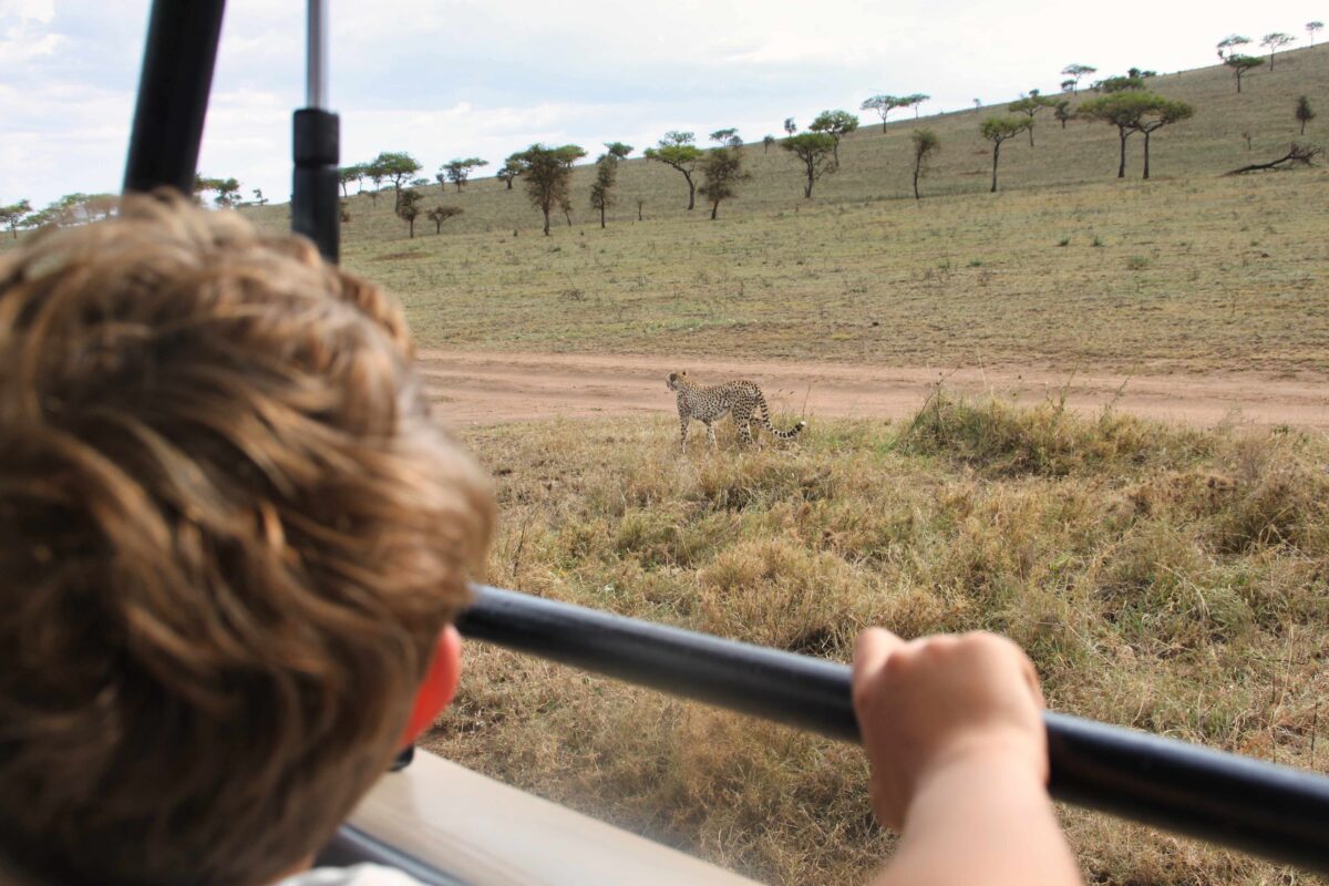 Safari in Tanzania con bambini: la guida pratica per famiglie 2 Bambino che guarda un ghepardo nel Serengeti