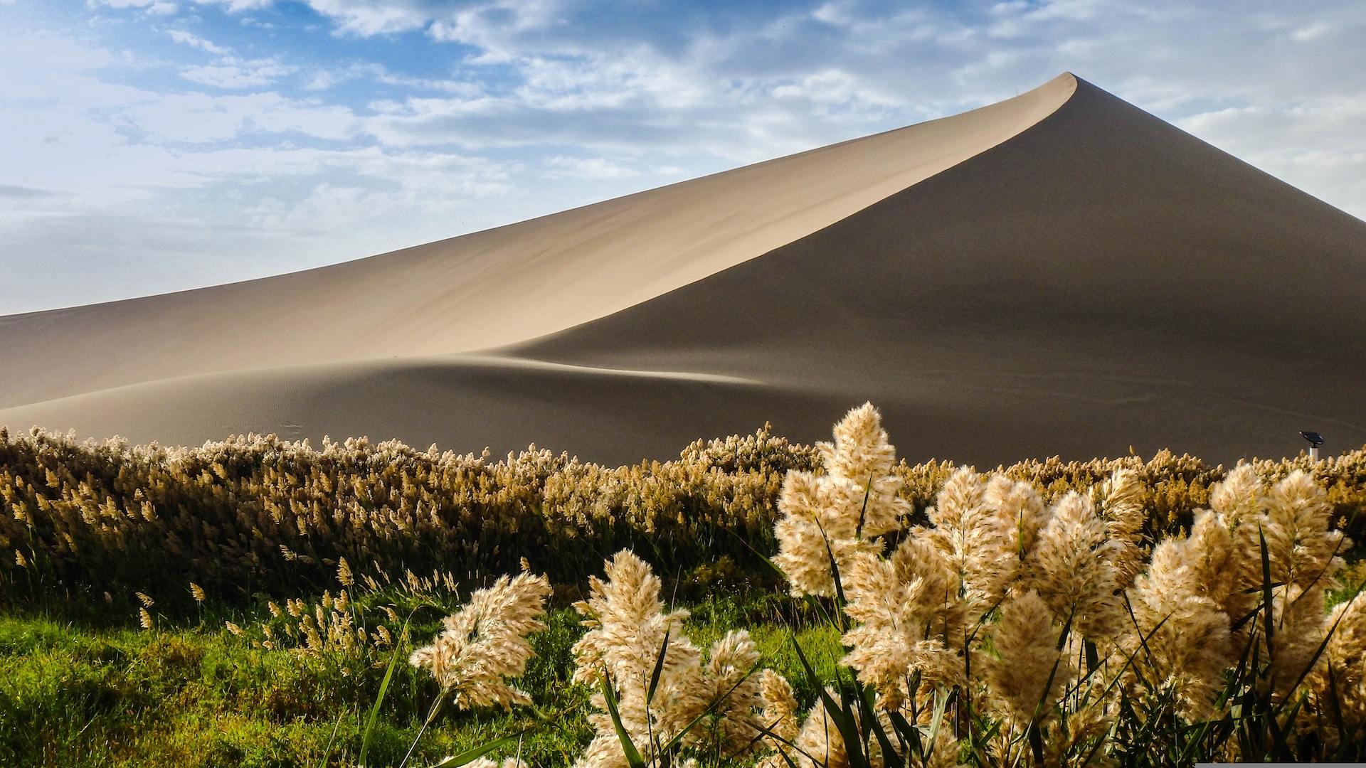 Duna a Dunhuang in Cina